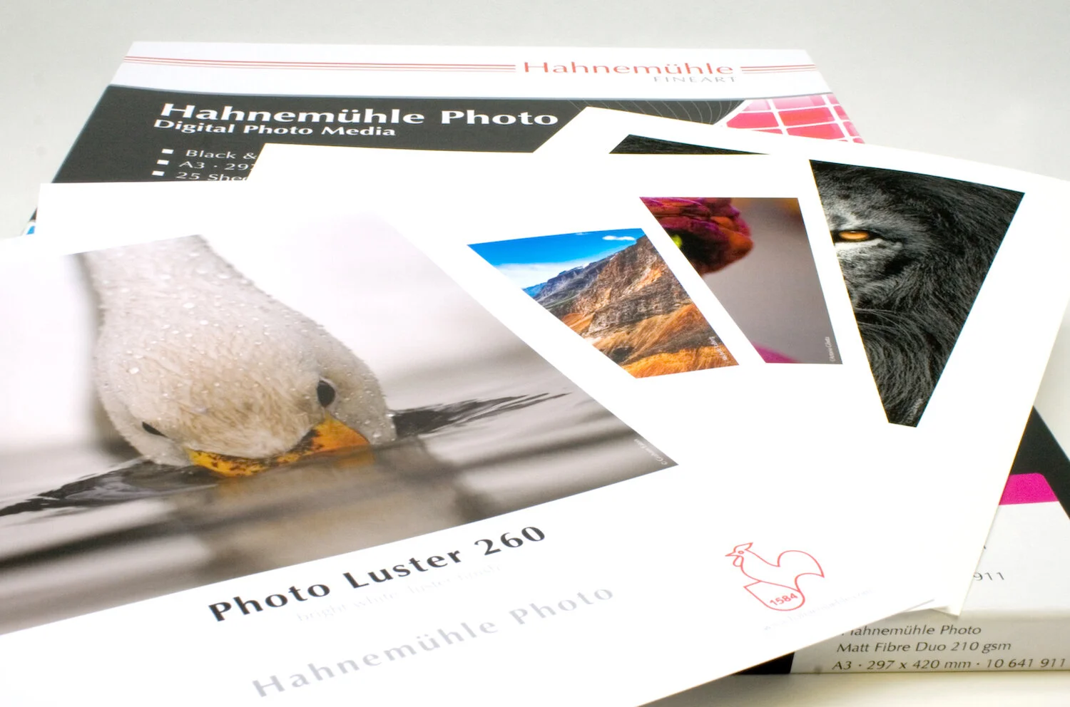 hahnemuehle-photo-paper.jpg?format=2500w