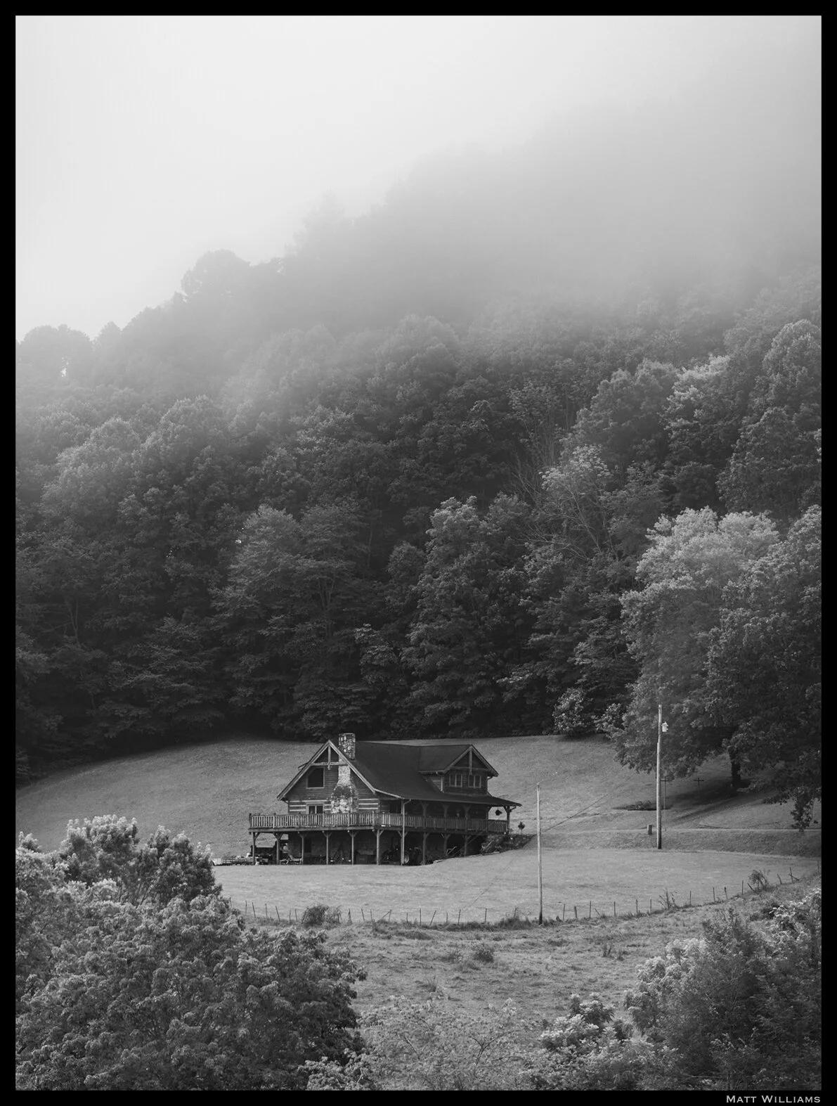 _8100315 watermark.jpg