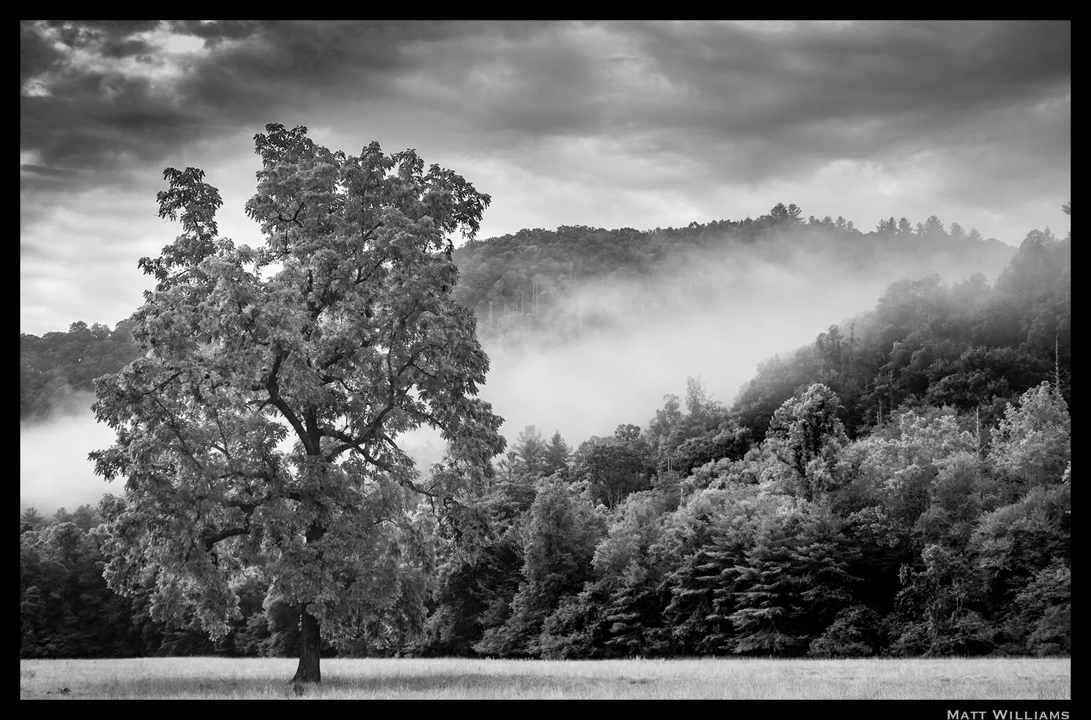 _1000114 11x17 watermark.jpg