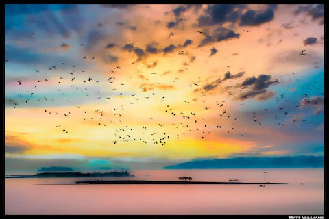 FINE ART PRINTS ON SALE - 15 to 30% Off!!