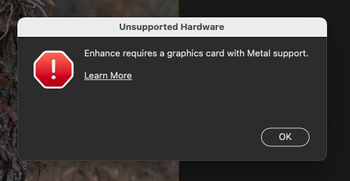 Adobe Camera RAW "Enhance" Issue
