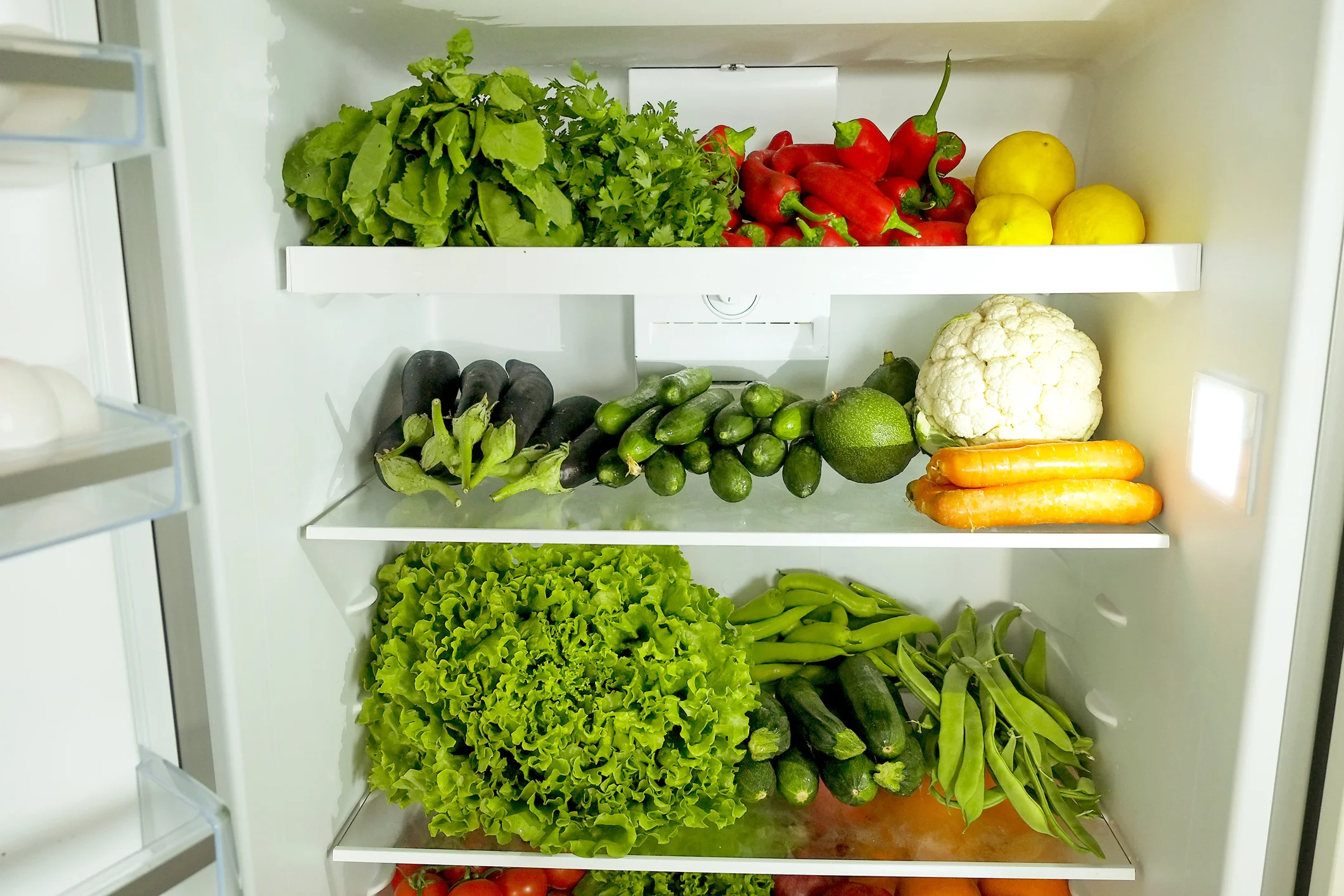 BB Food Boss Stocked Fridge.jpg