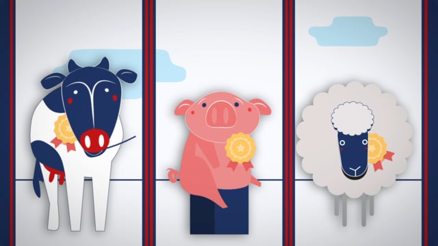 RBW Show Competitive Entries Social Animation