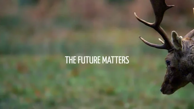 Future Matters - Libby Penman