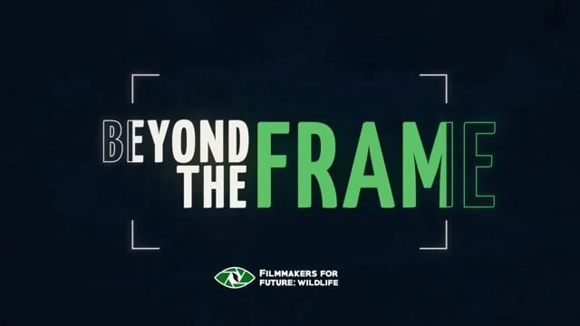 Beyond the Frame - Ashwika Kapur