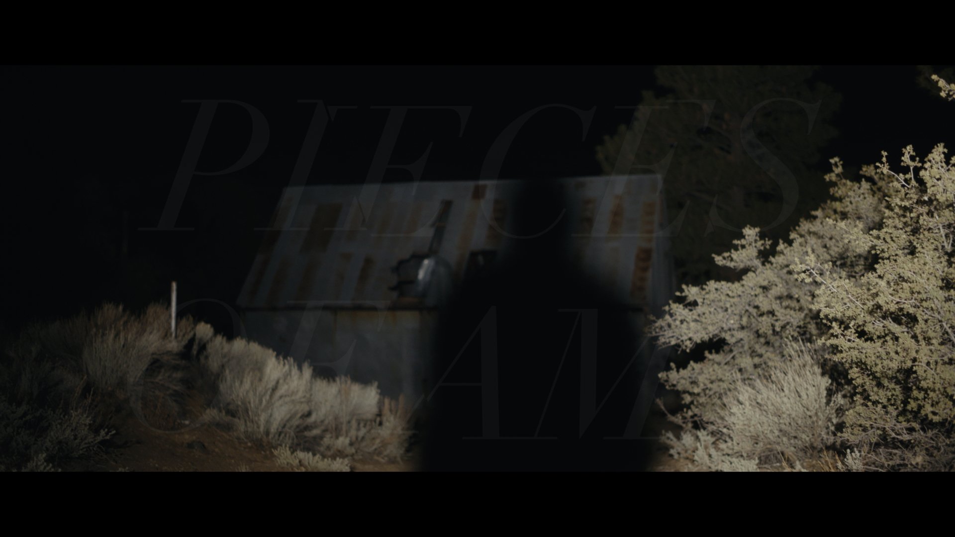 POA - Title Card - 07 - Shadow.jpeg