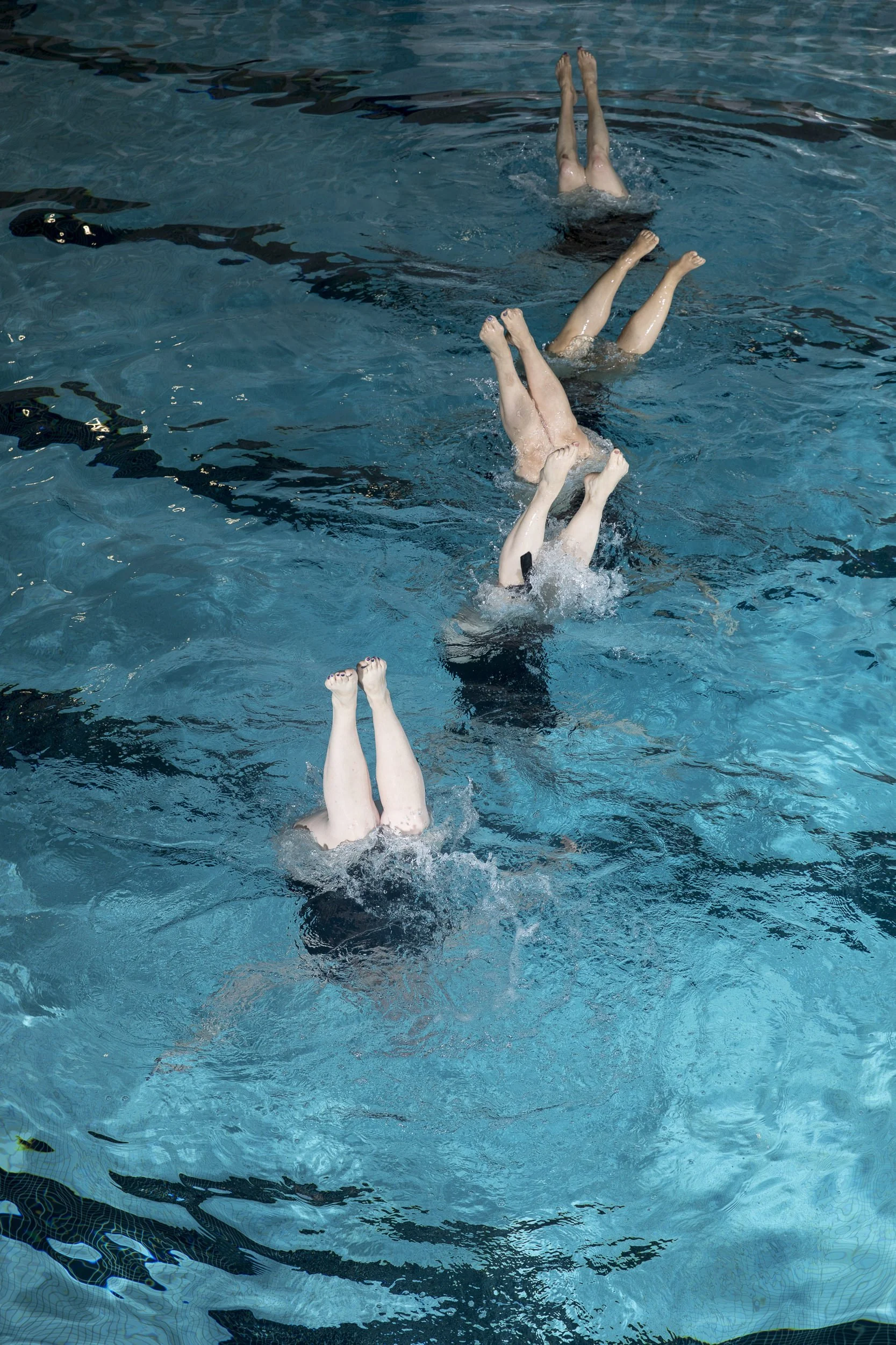 Four synchronized swimmers upside down in a swimming pool, their legs and feet above the water surface, practicing a routine.