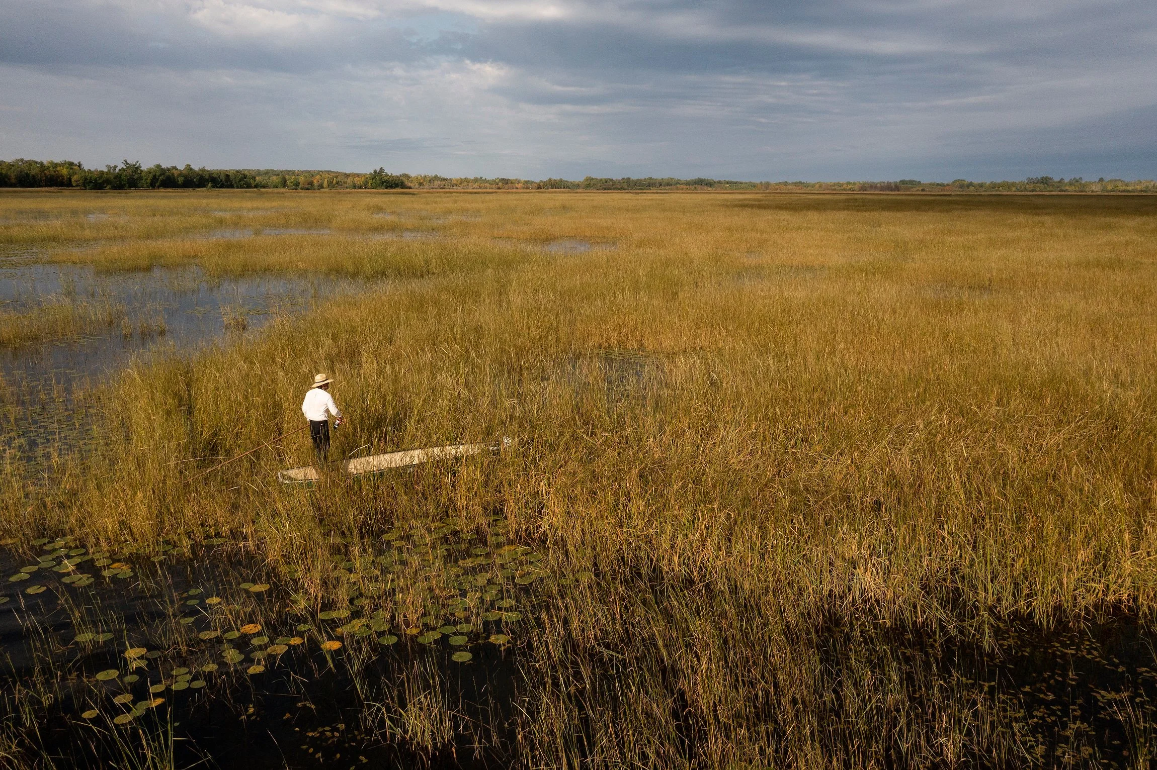 MinnesotaWildRiceHarvest_43.JPG