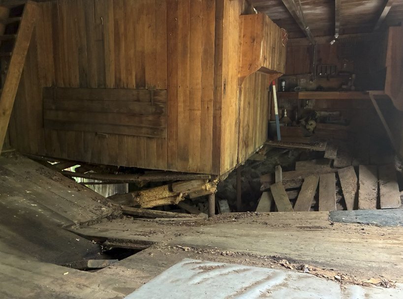 jw10.png