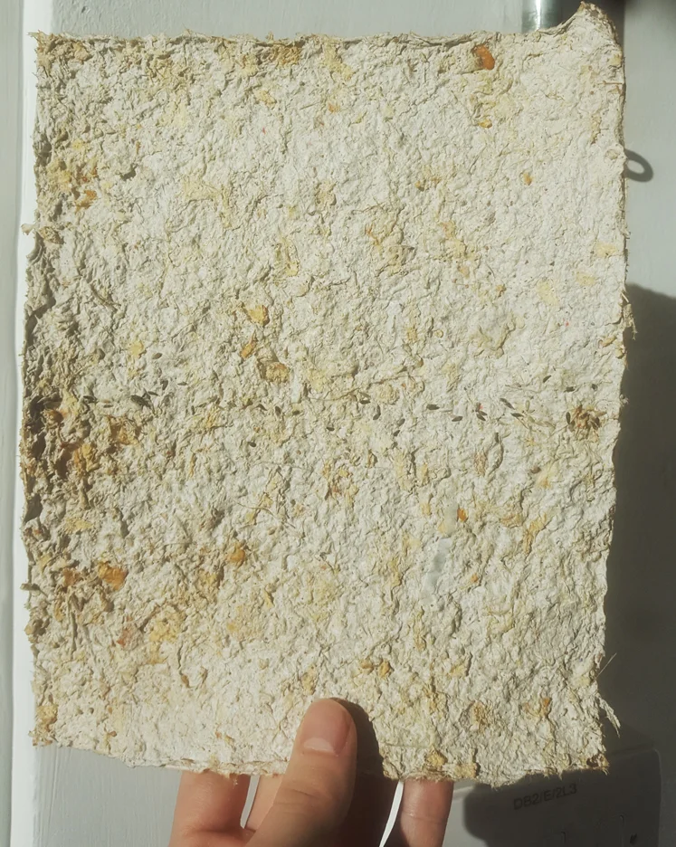 PaperTest2.jpg