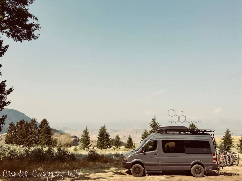 CurtisCanyon_THC.jpg
