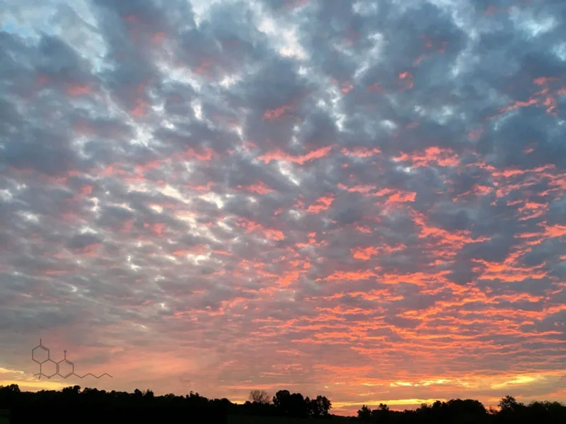 Sunset_THC.jpg