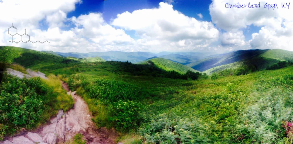 cumberland_gap-THC.jpg