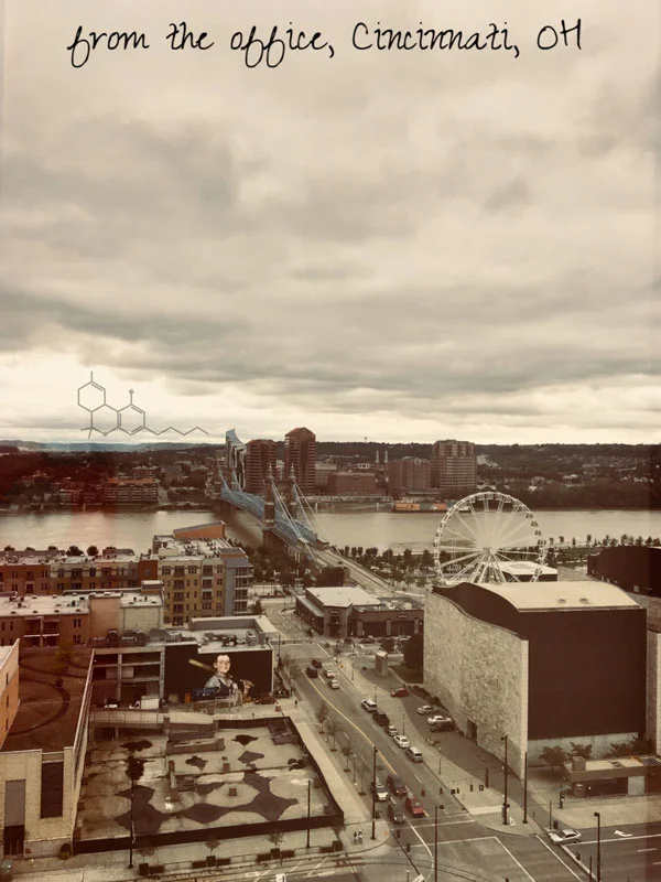 office_view-THC.jpg