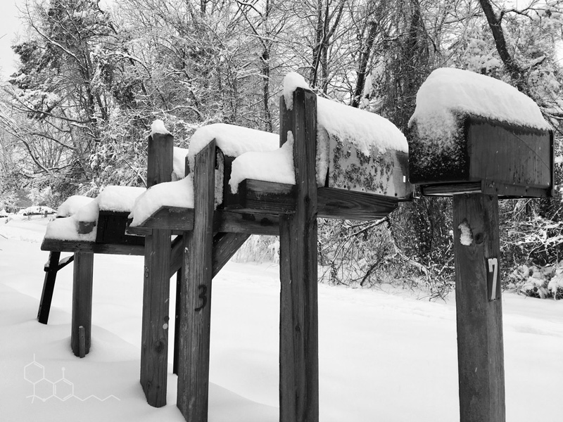 Snow.jpg