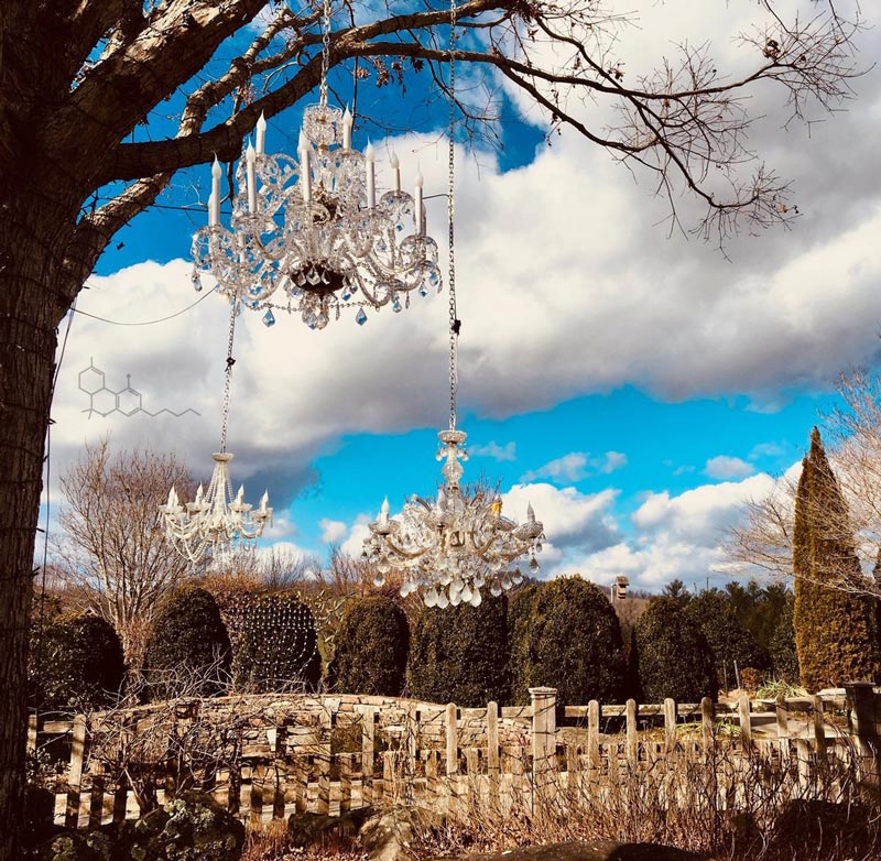NC Arboretum, Asheville