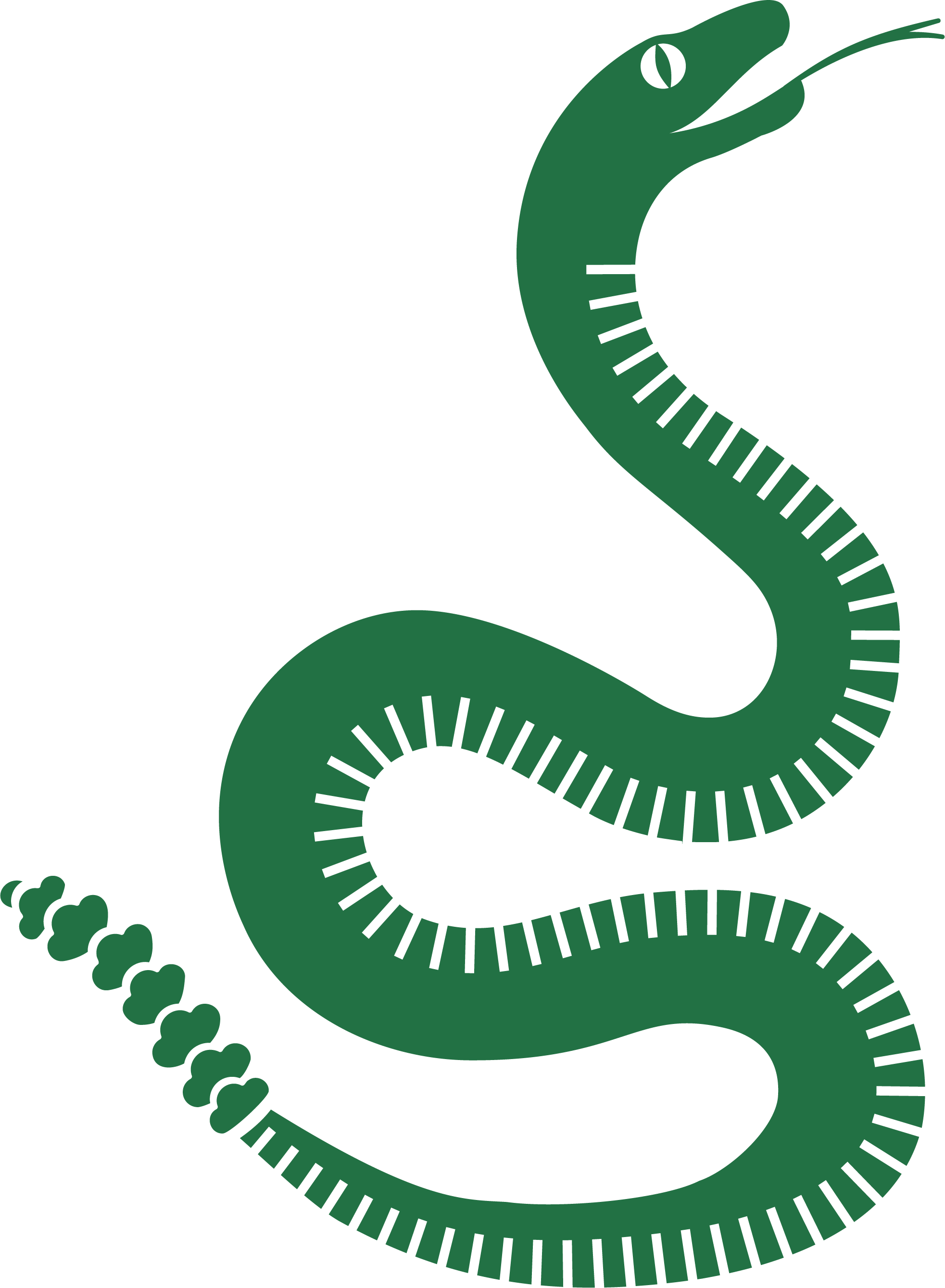 Snake illustration