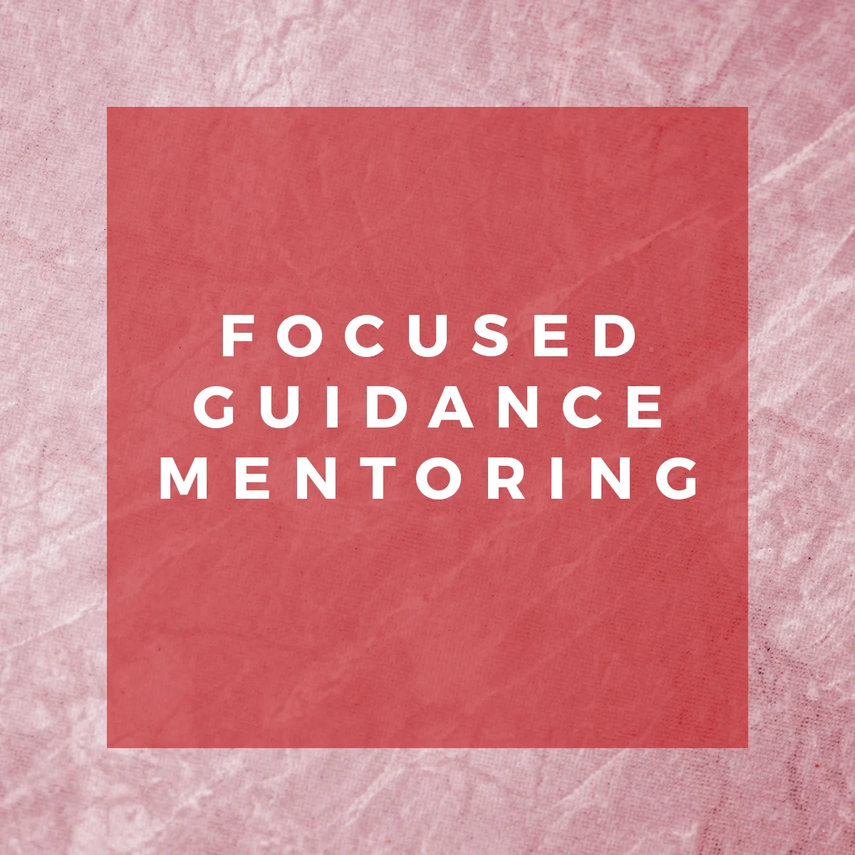 Focused-Guidance-Mentoring.jpg