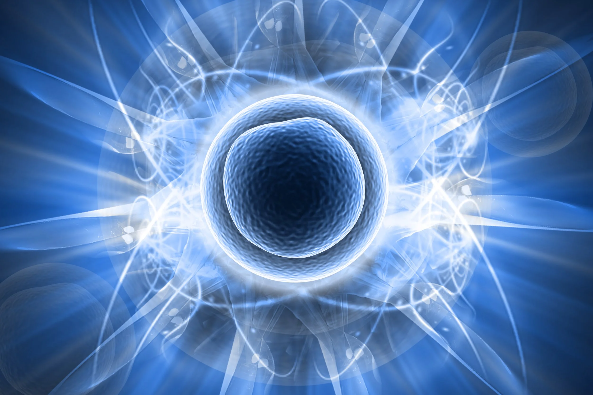 shutterstock_72880636.jpg