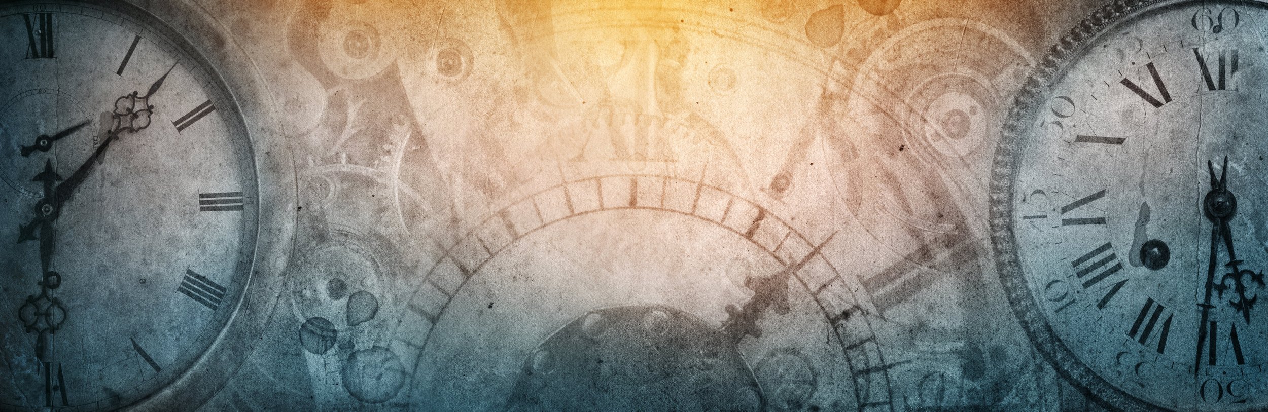 Longevity Banner.jpg