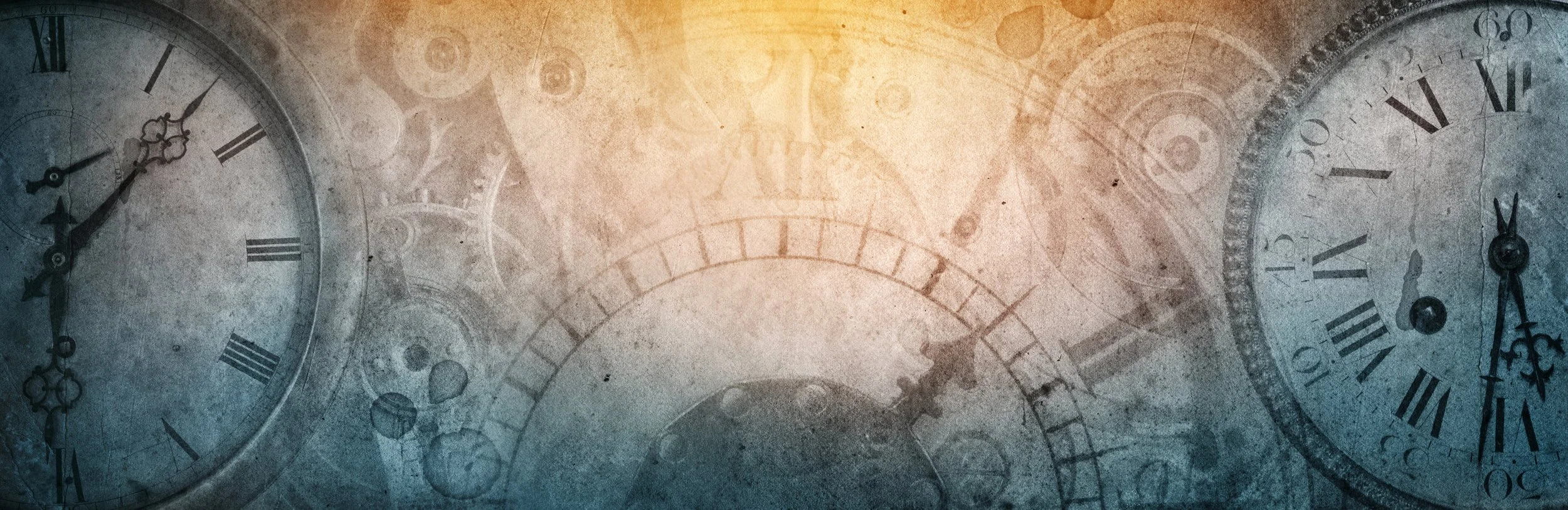 Longevity Banner.jpg