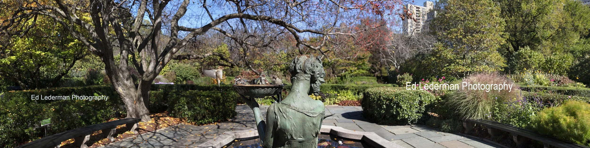 36a.jpg