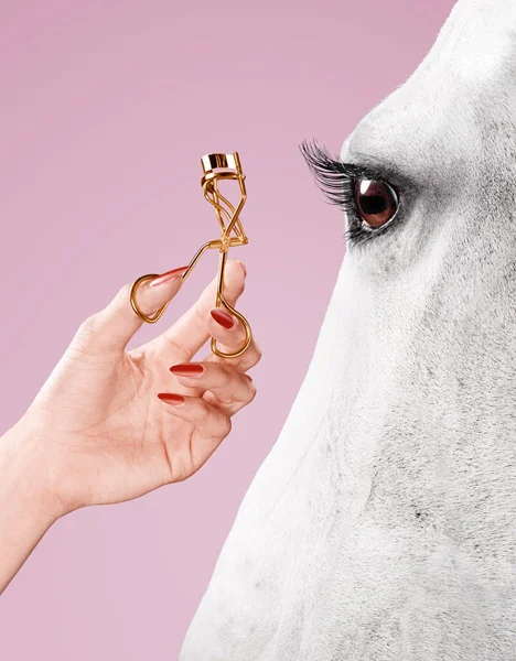 Learning Together: Tierversuche und ihre fatalen Auswirkungen!