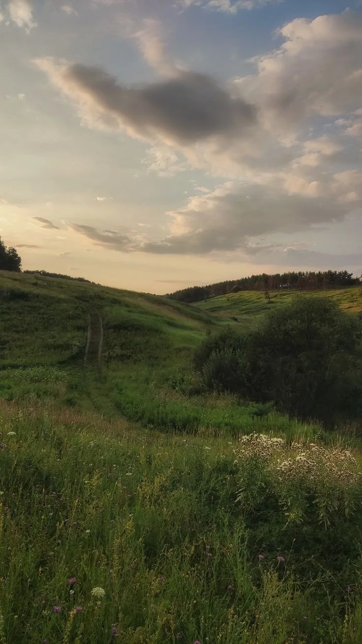 Reset Diaries: Selfcare-Tipps für das Wochenende in Wien