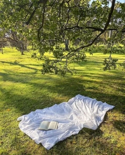 Reset Diaries: Wie du deine Gedanken positiv beeinflussen kannst