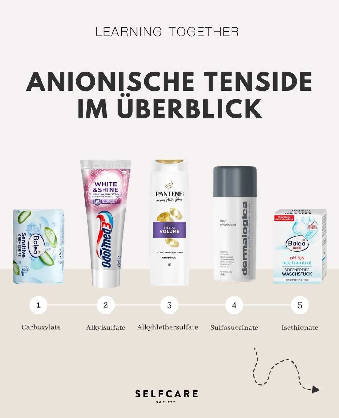 Anionische Tenside im &Uuml;berblick 👩🏻&zwj;🔬🧪

Hier findet ihr eine ausf&uuml;hrliche Zusammenfassung zu den unterschiedlichen Tensidklassen. ✨

Leider gibt es rund um Tenside noch immer sehr viele Fehlinformationen und unn&ouml;tige Panikmache.