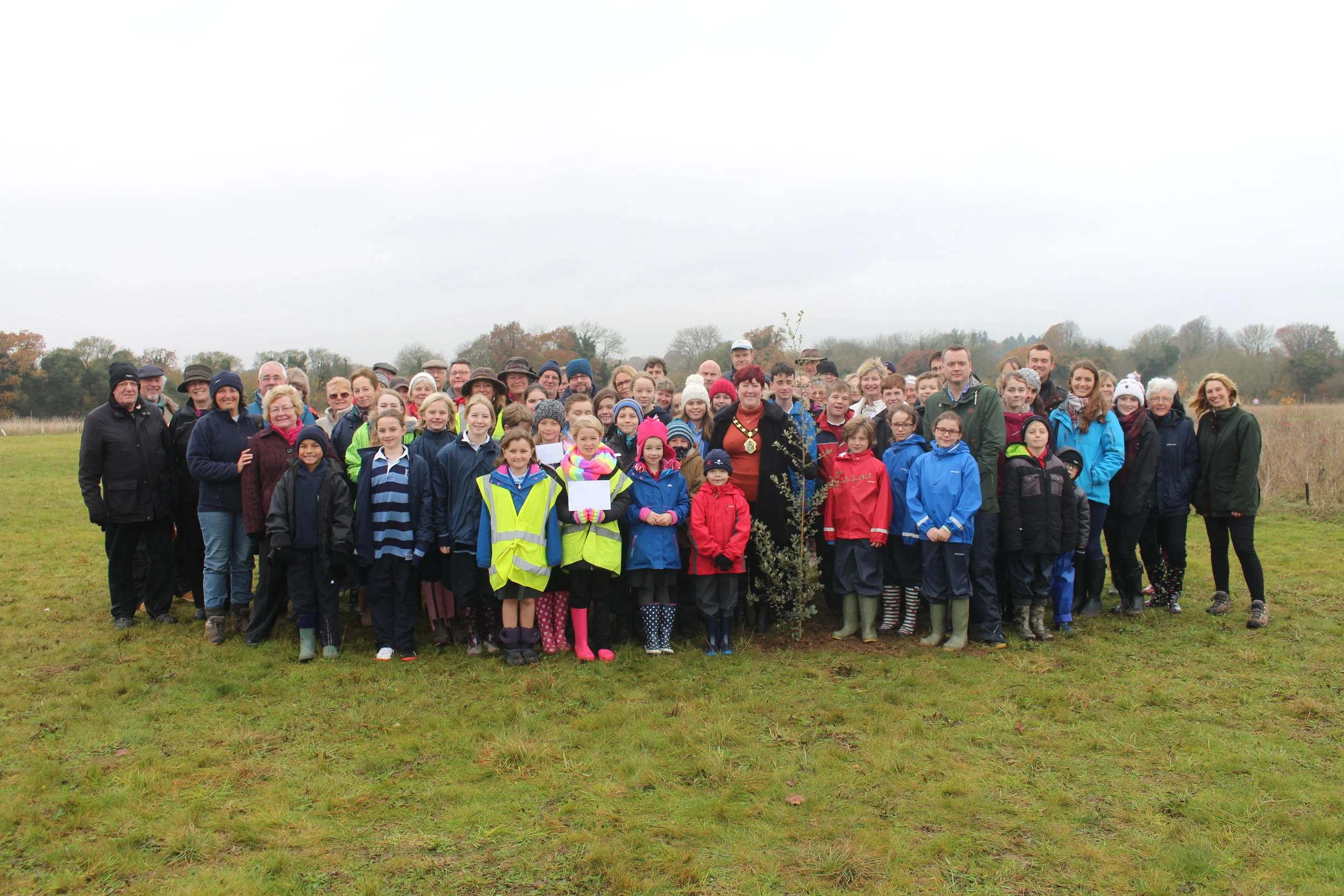 What We Do — Andover Trees United