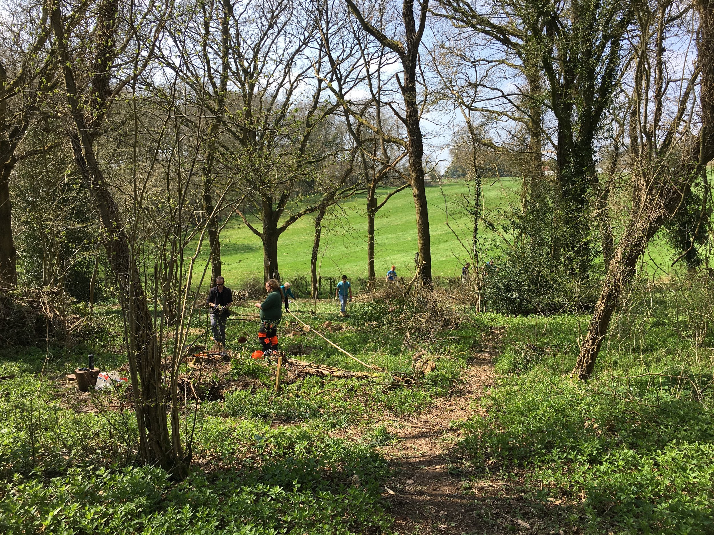 Jonathans Wood 14-4-18.jpeg