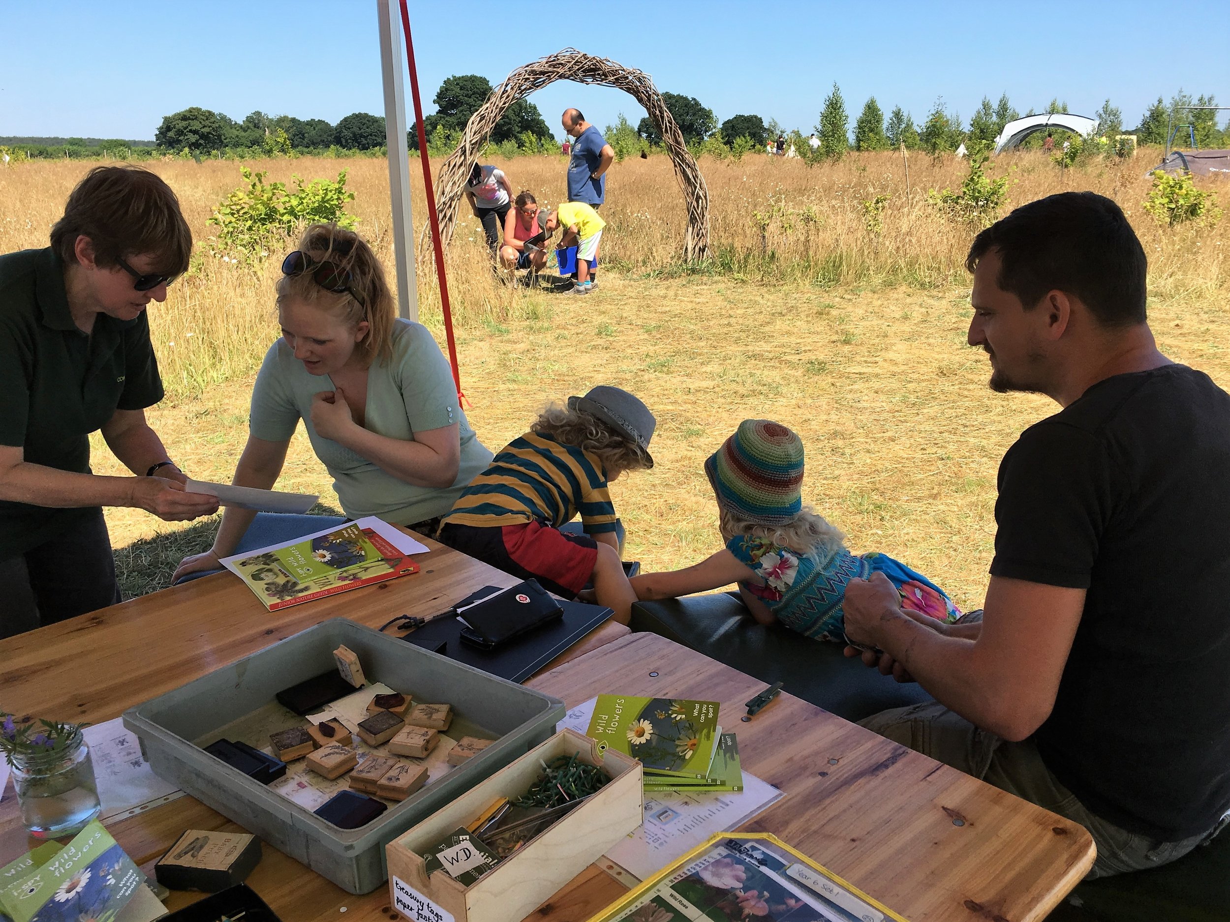 Wildflowers Workshop