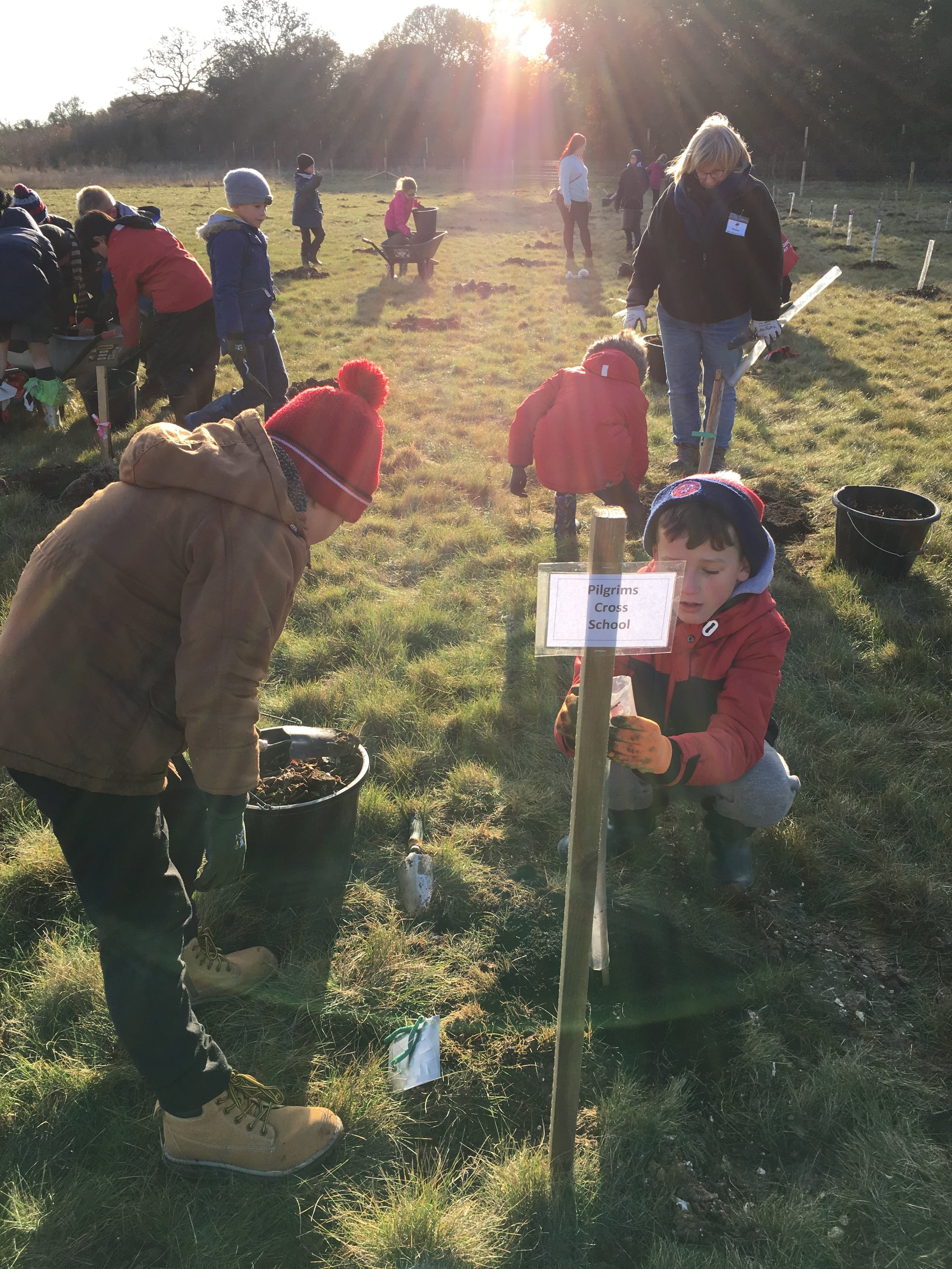 Tree Planting Fortnight 2018