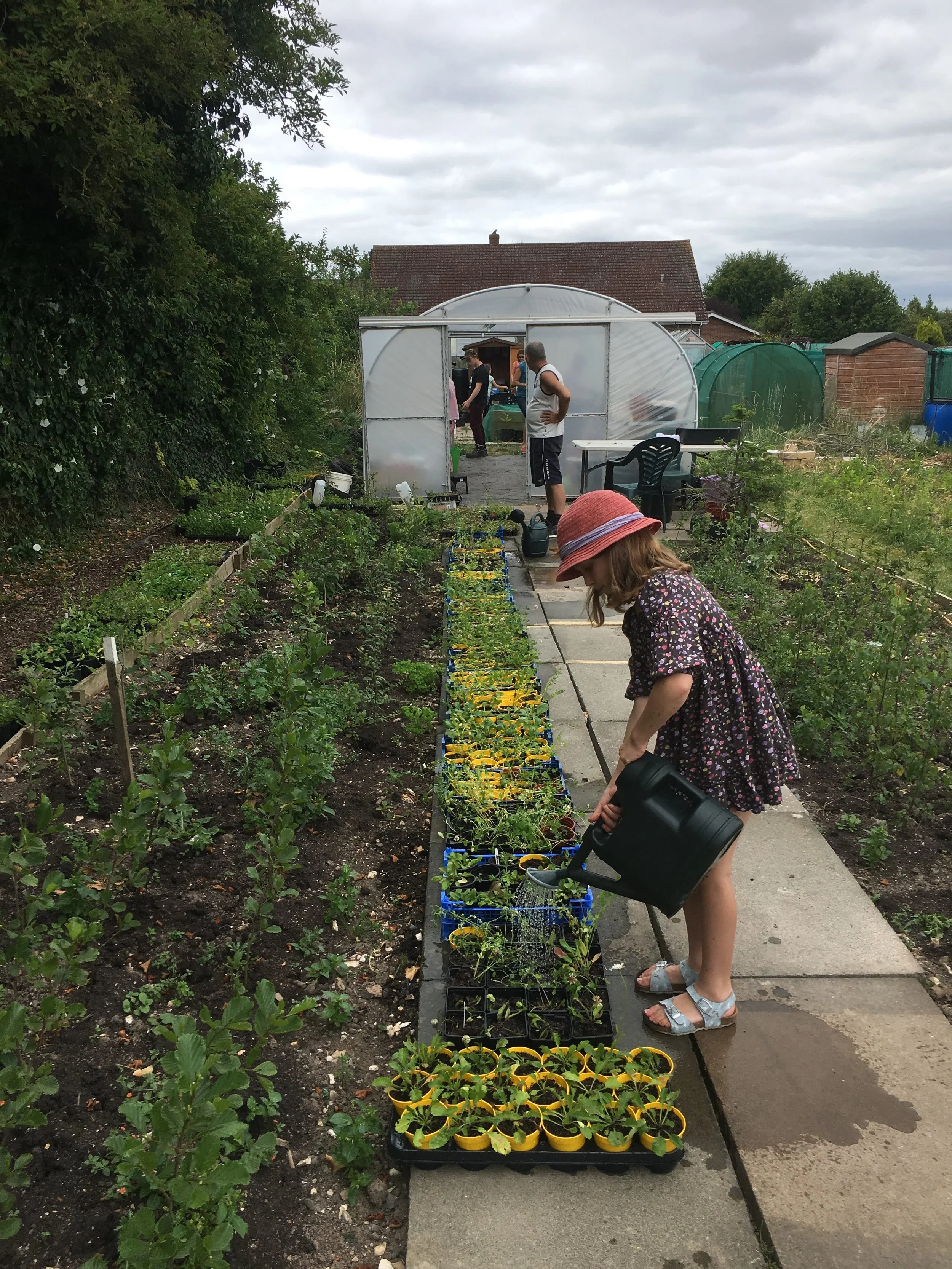 We Love Wildflowers #GrowWildUK 