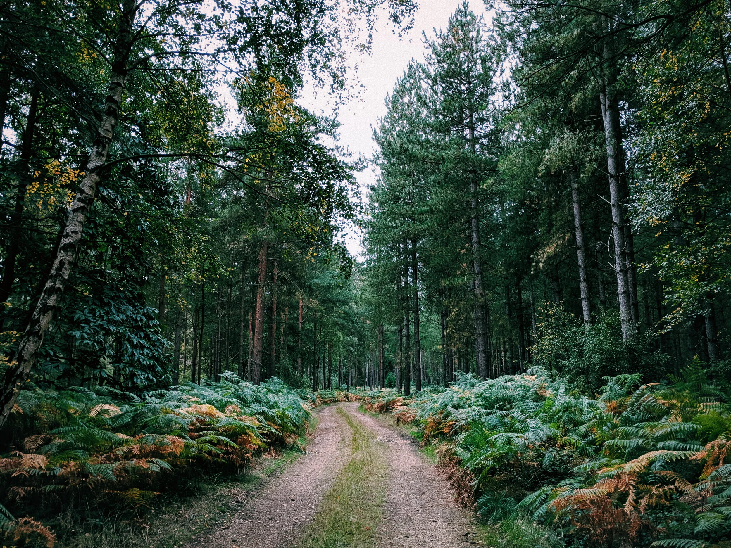 autumn visit4.jpg