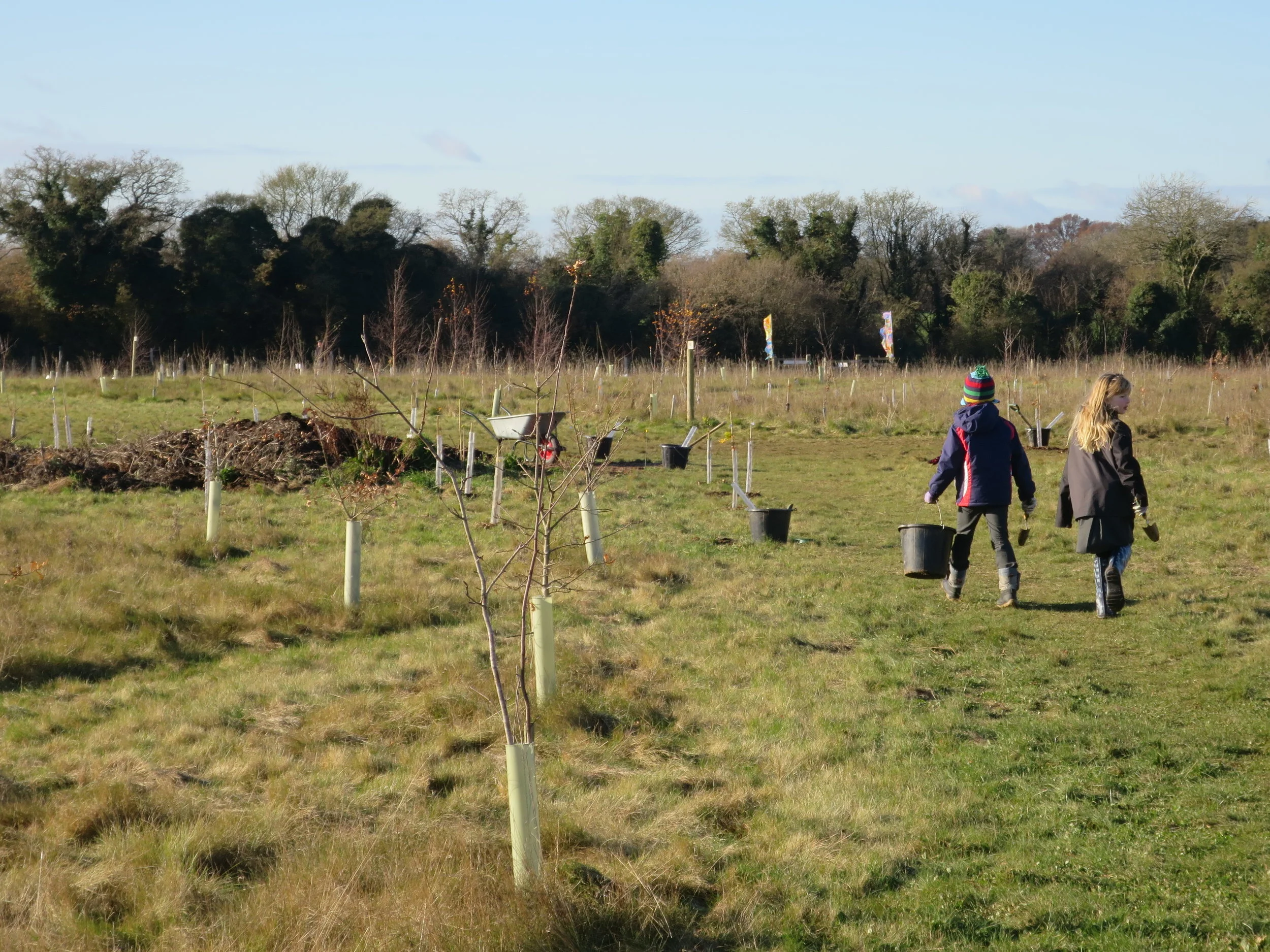 Planting Fortnight 2019 - Week 2