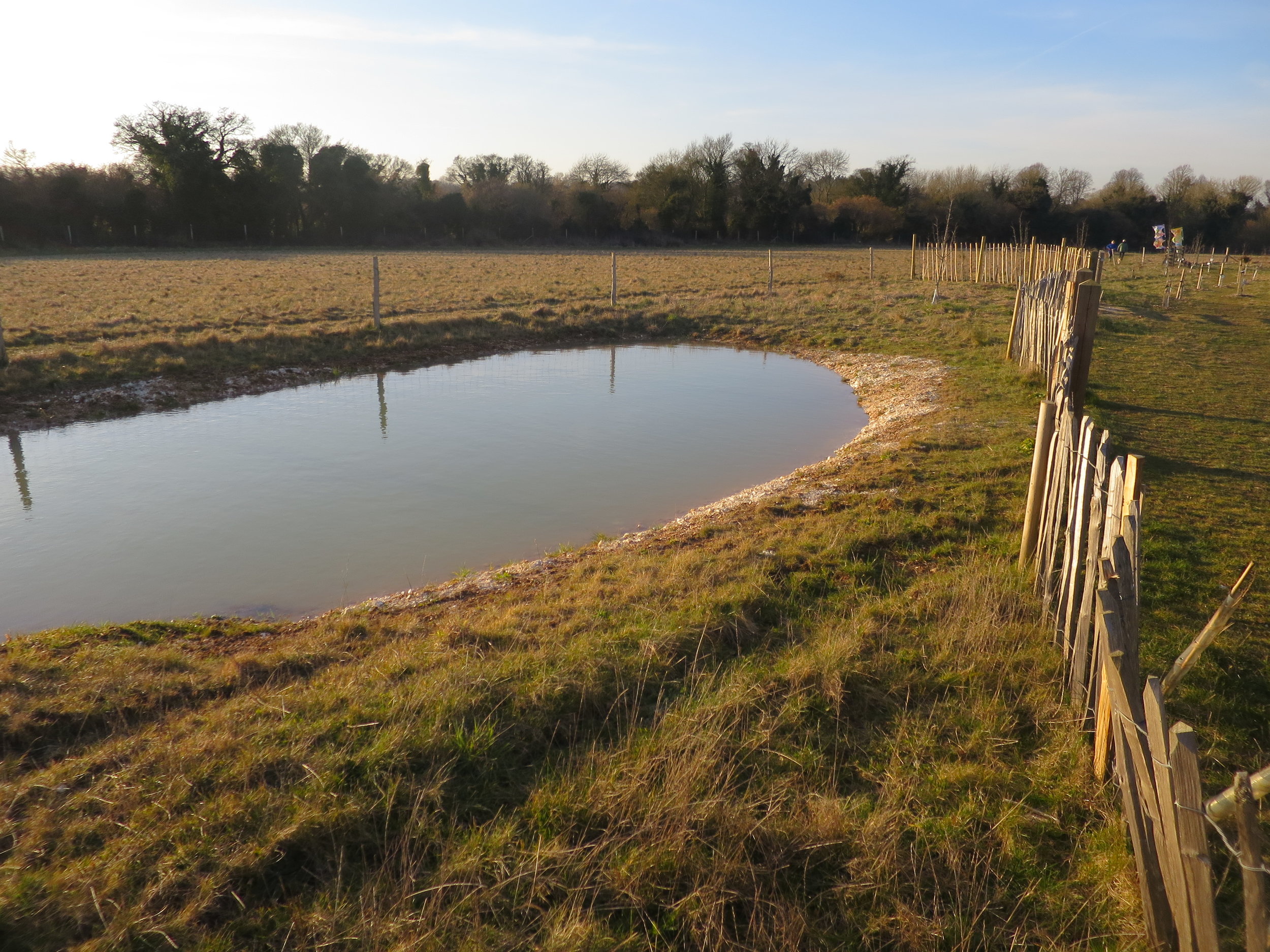 2018_Pond & fence moved.JPG