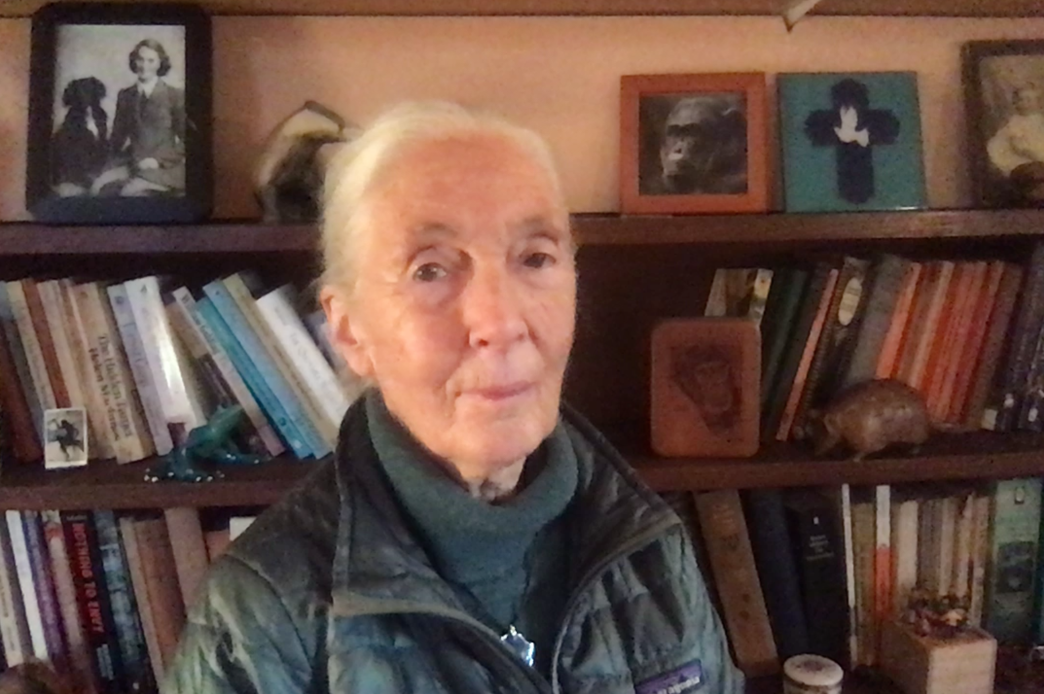 A message from Dr Jane Goodall