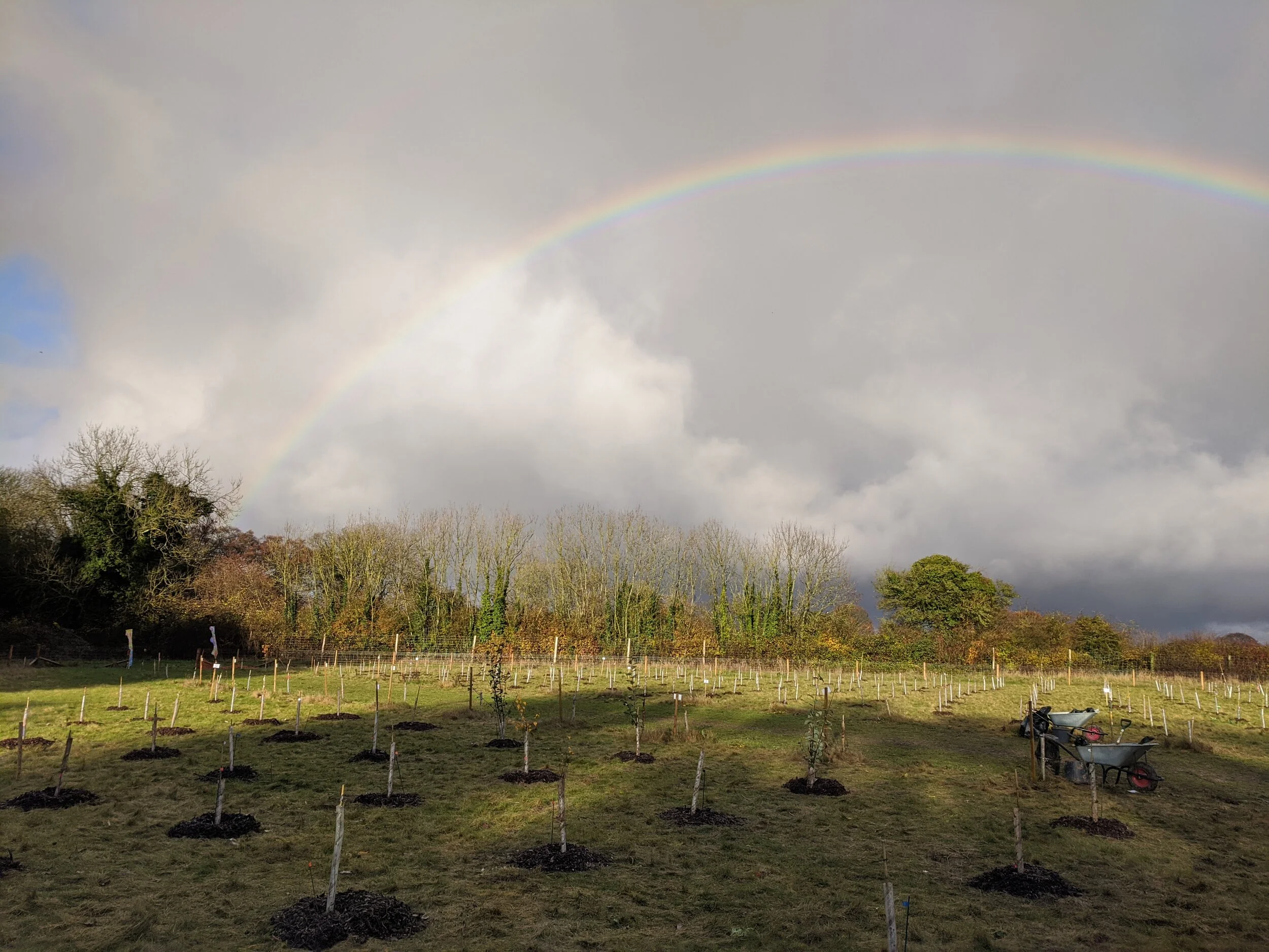 Planting Fortnight &amp; National Tree Week
