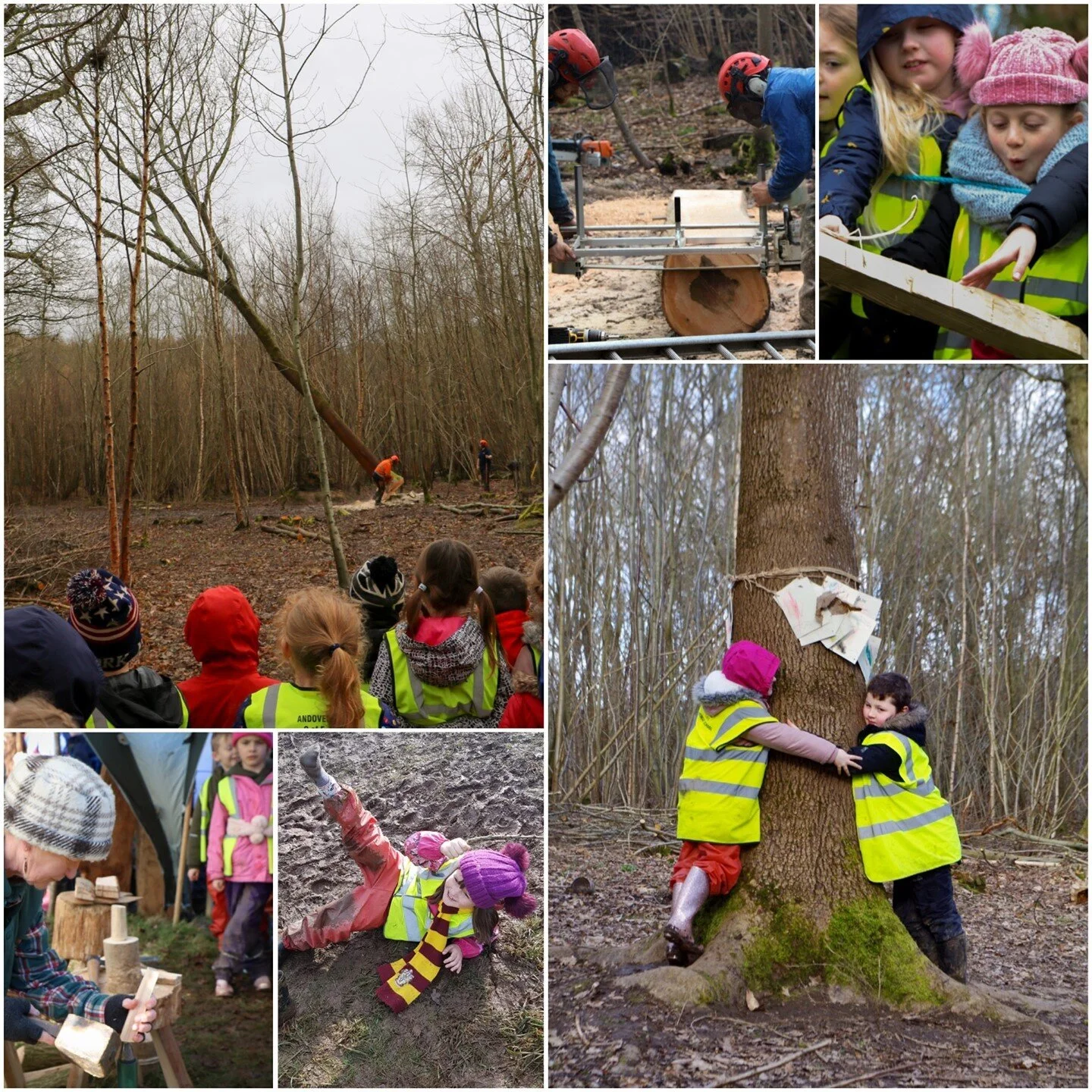 Andover Trees United