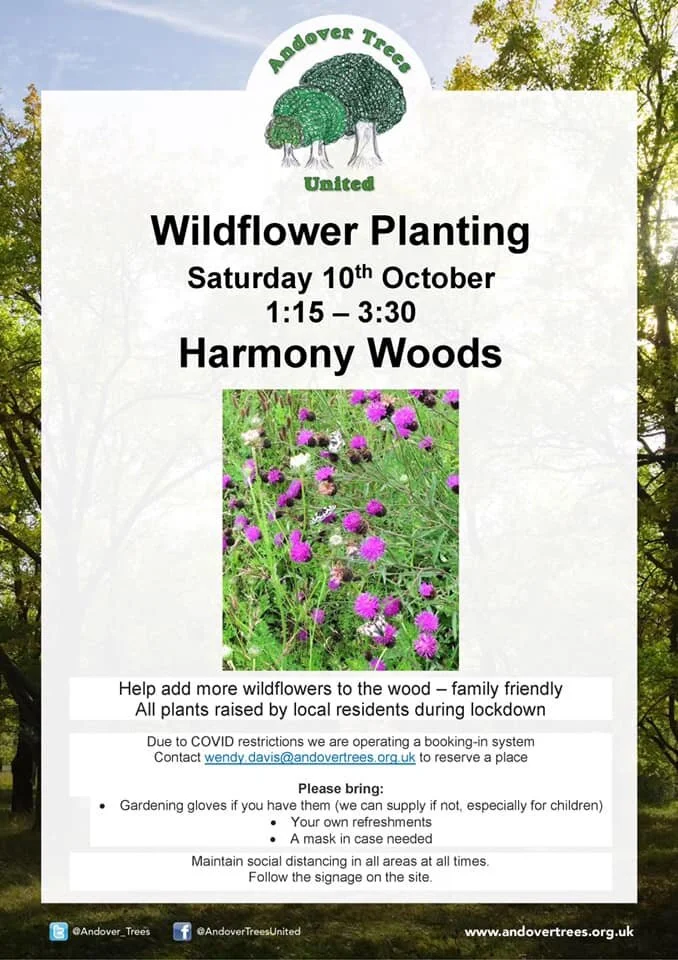 wilflower planting 2020.jpg