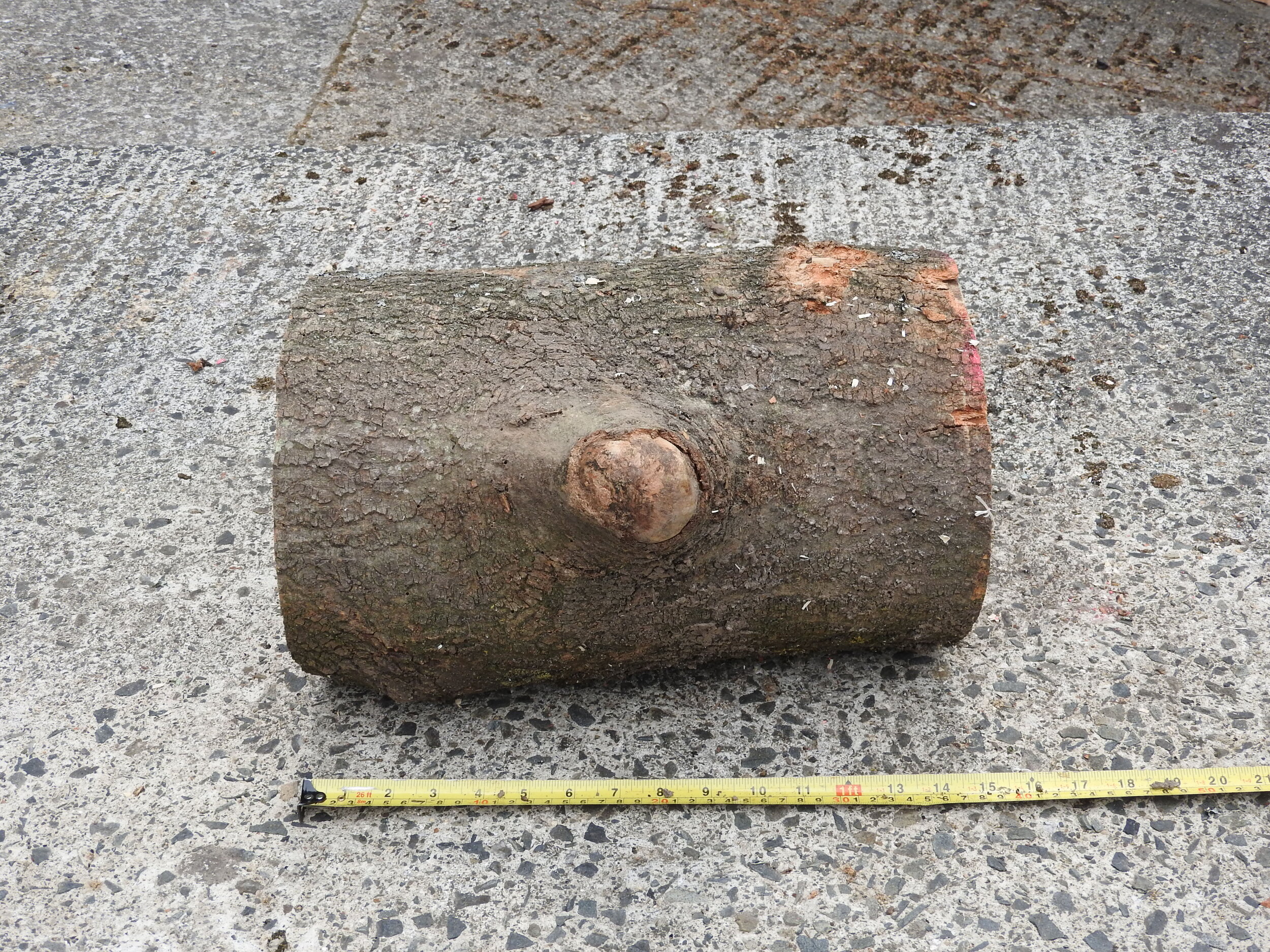 log7-001-0406.JPG