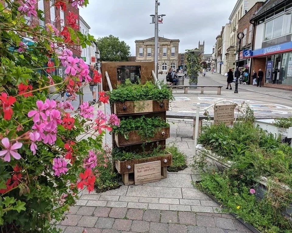 Wildflowers: Sow. Grow. Plant.