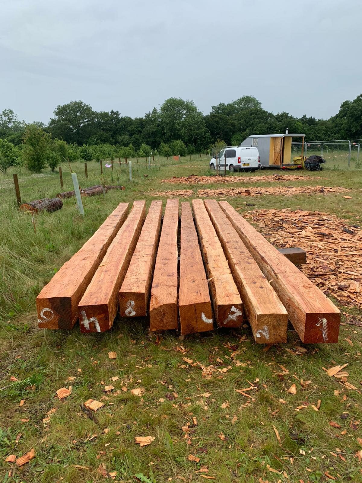 8 perfectly hewn timbers, the 6m posts to support the roof