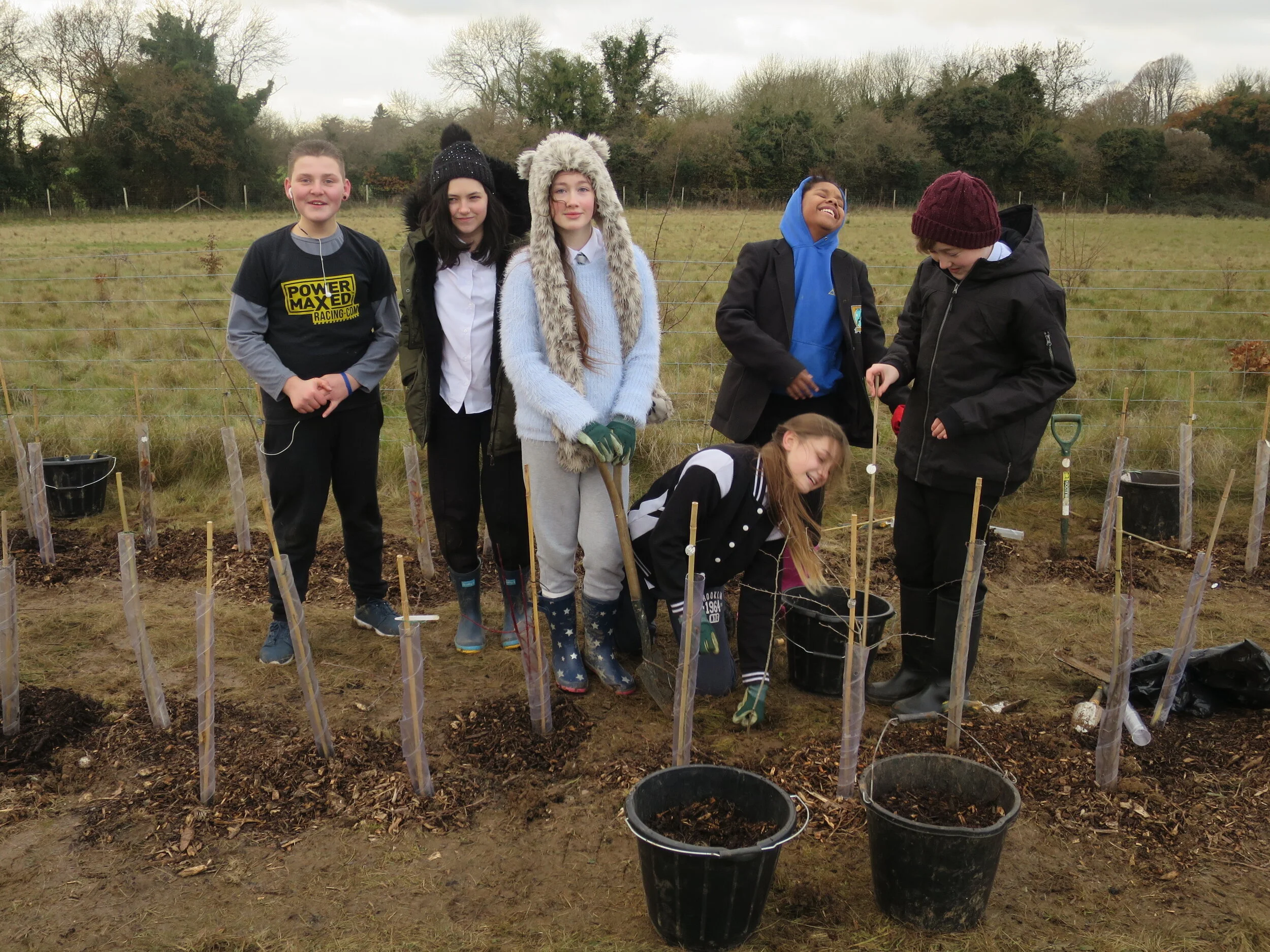 10 years of Harmony Woods  &amp; the final year of tree planting