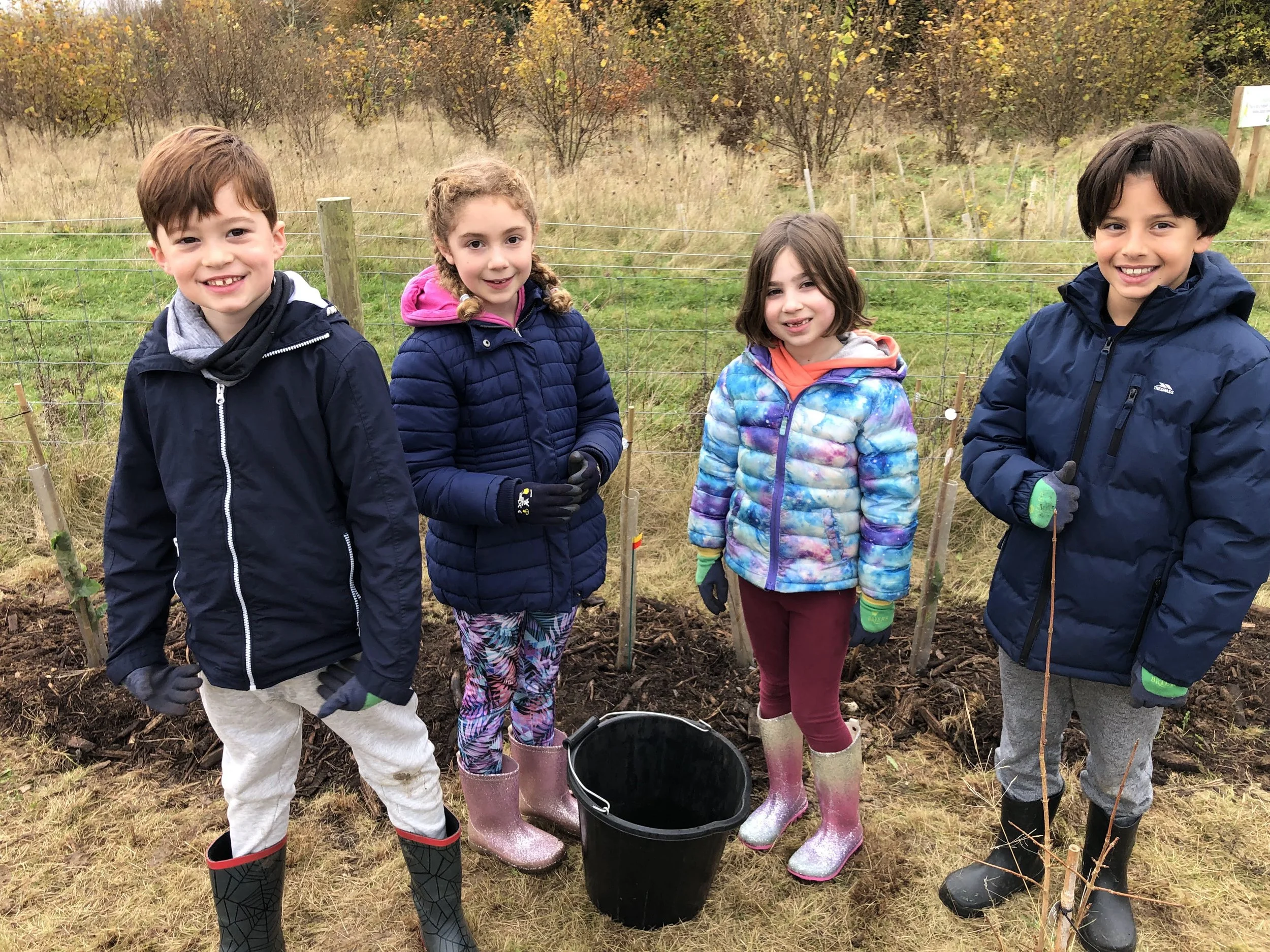 School's Tree Planting Weeks