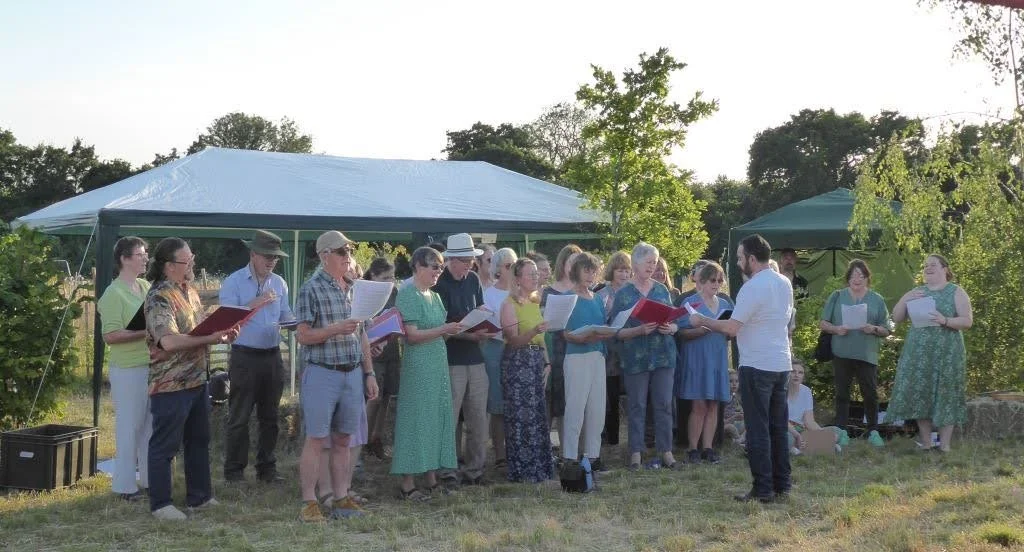 2022 Project Summary - Voices in Harmony