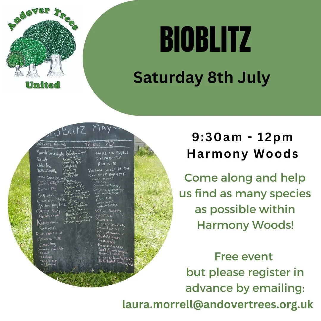Bioblitz