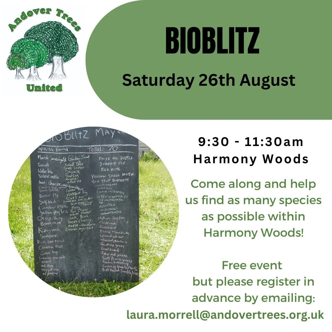 Citizen Science - Bioblitz